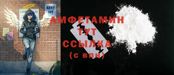 гидра Вяземский