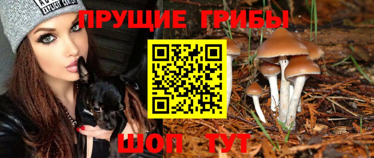 Галлюциногенные грибы мицелий  Вход с VPN  Клин 